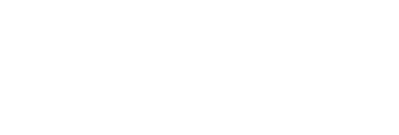 The Logical Indian